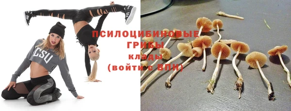 ALPHA PVP Алзамай
