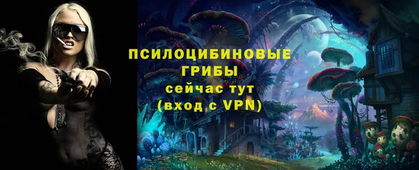 спайс Алексеевка