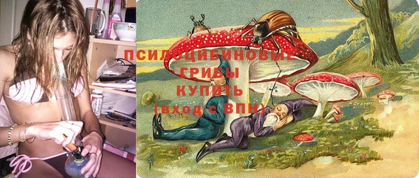 ALPHA PVP Алзамай