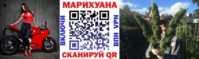 Бошки марихуана THC 21% как найти закладки Анапа